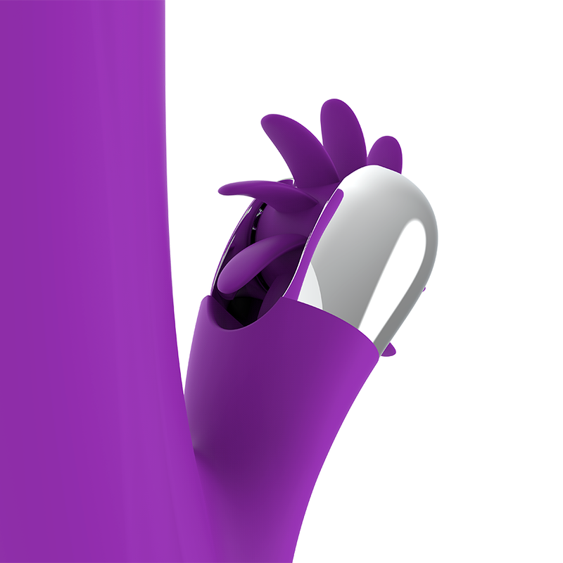 FUN FUNCTION - FUNNY ROTATION OF RABBIT 2.0