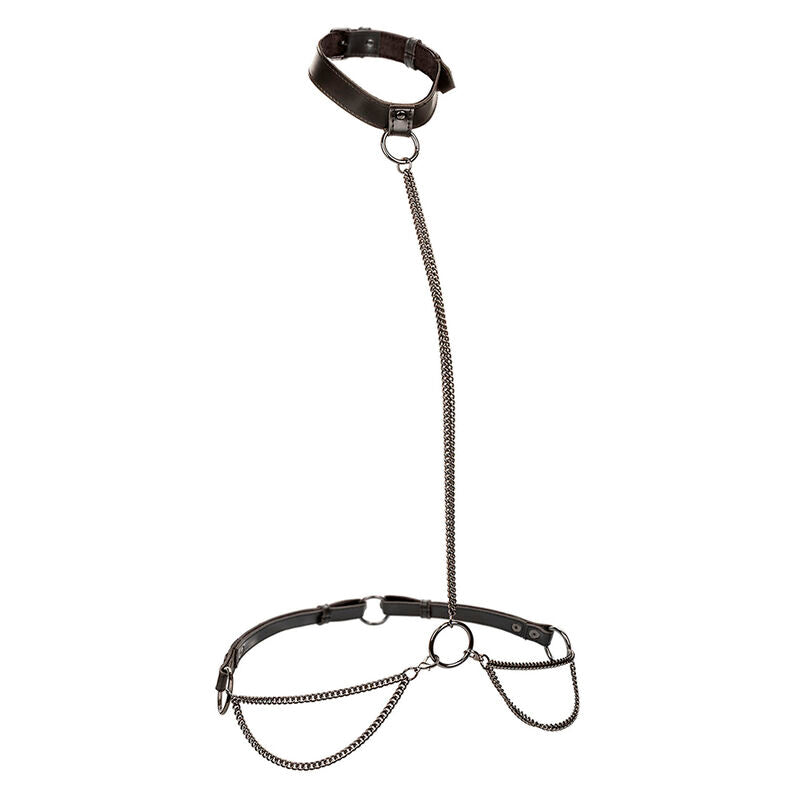 CALEXOTICS - EUPHORIA LARGE SIZE HALTER AND LEASH COLLAR