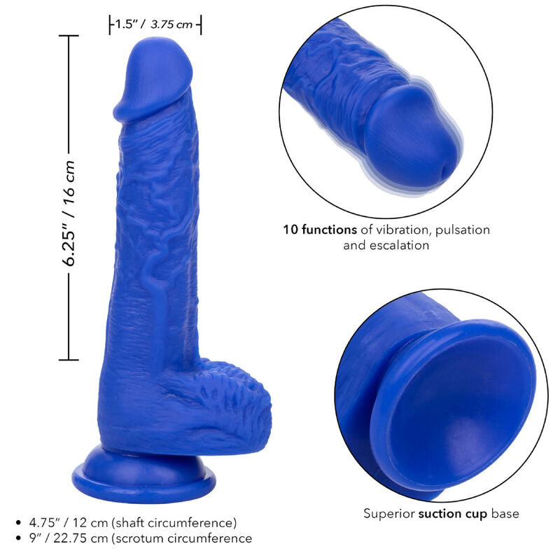 CALEXOTICS - ADMIRAL REALISTIC DILDO VIBRATOR SAILOR BLUE