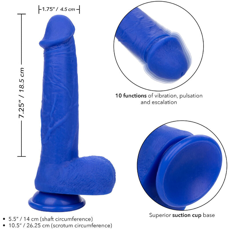 CALEXOTICS - ADMIRAL REALISTIC DILDO VIBRATOR CAPTAIN BLUE