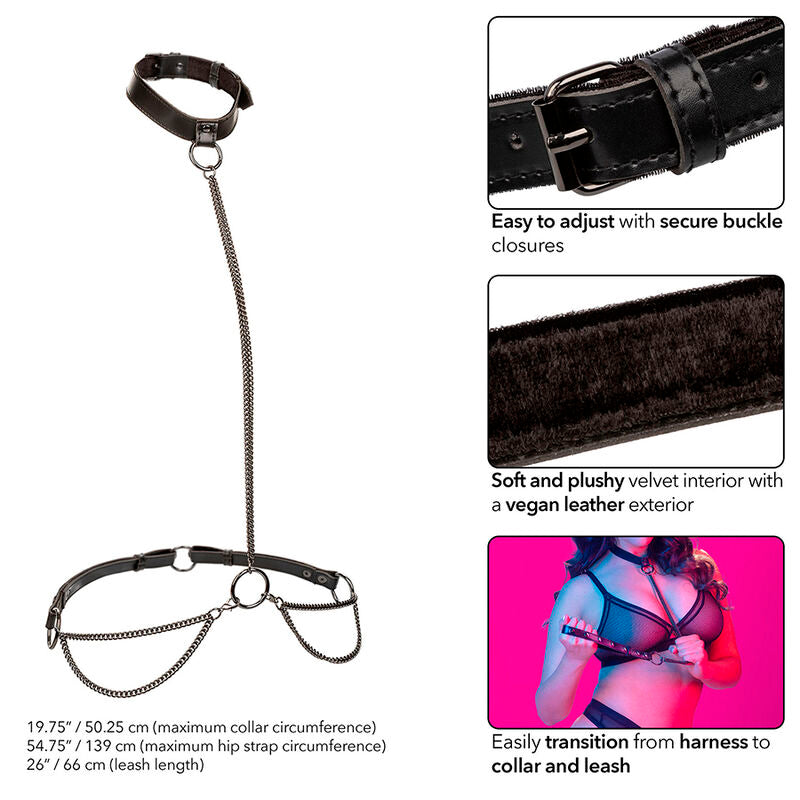 CALEXOTICS - EUPHORIA LARGE SIZE HALTER AND LEASH COLLAR